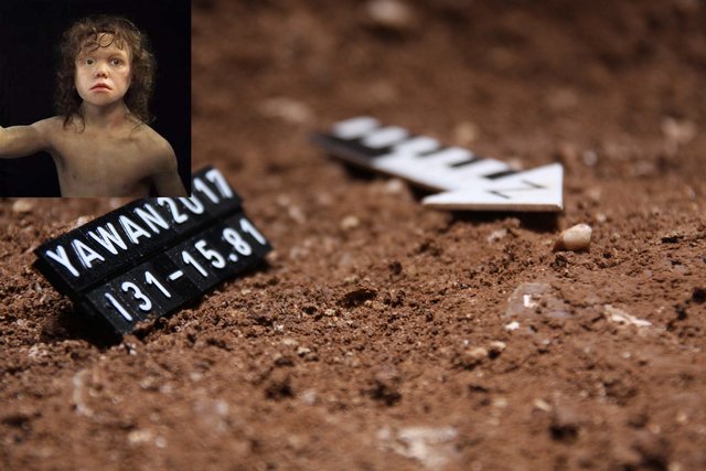 باستان‌شنایان ایرانی نیز یک دندان متعلق به کودک نئاندرتال را برای نخستین‌بار در پناهگاه صخره‌ای "باوه یوان" در استان کرمانشاه کشف کردند.